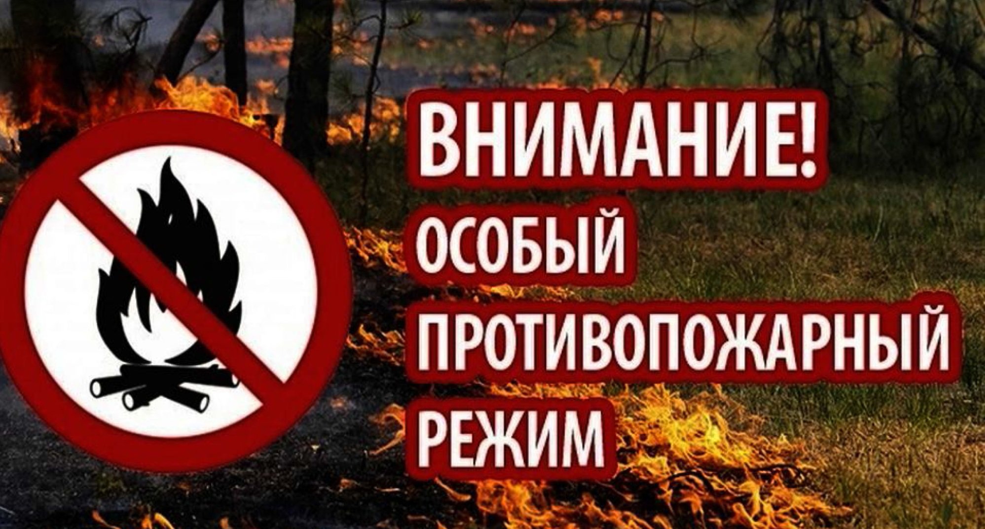 Внимание!.